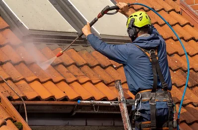 Démoussage et hydrofuge de toiture à Laupie
